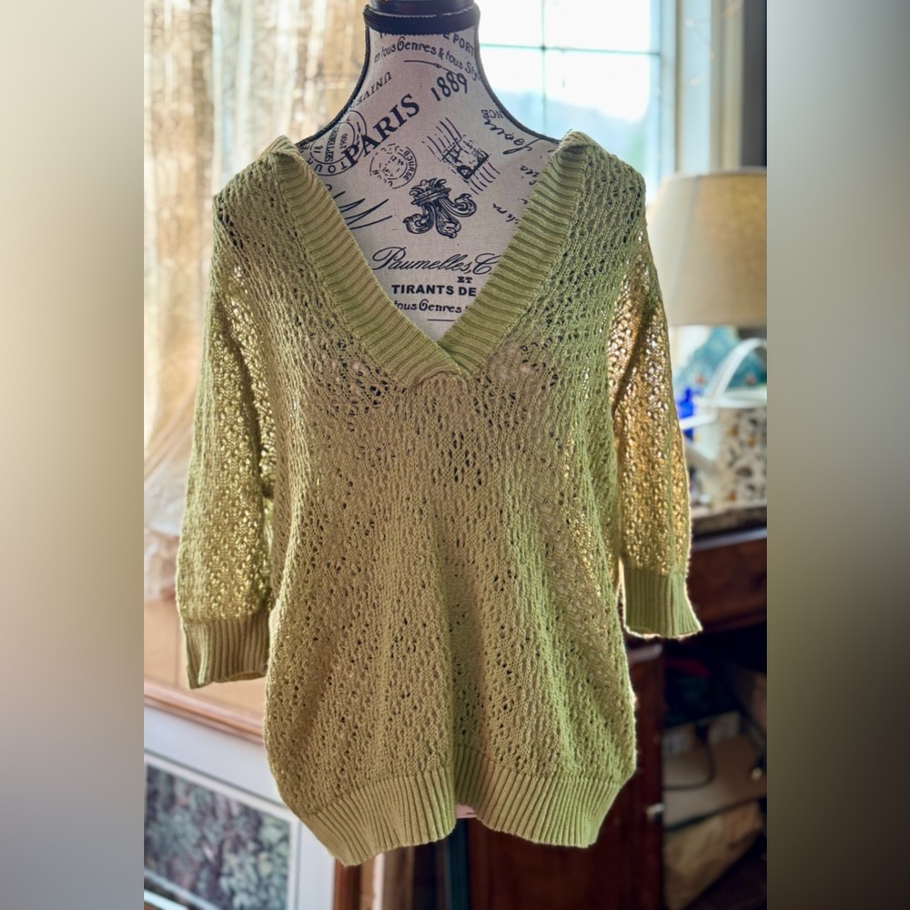 Lane Bryant Soft Green V-Neck Sweater